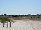 Heather Walk  Studland United Nudists