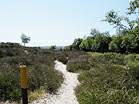 Heather Walk  Studland United Nudists