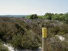 Heather Walk  Studland United Nudists