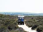 Heather Walk  Studland United Nudists