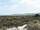 Heather Walk  Studland United Nudists