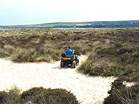 Heather Walk  Studland United Nudists