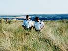 Police at Studland  Studland United Nudists