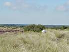 Police pay special attention to the dunes by the National Trust posts  Studland United Nudists