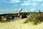 Nudist Beach Action Day 2000  Studland United Nudists