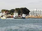 Views along Shell Bay  Studland United Nudists