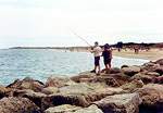 Views along Shell Bay  Studland United Nudists
