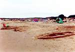 Shell Bay is popular with families  Studland United Nudists
