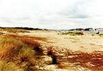 Looking towards the ferry from Shell Bay Studland United Nudists