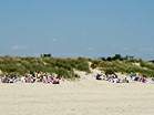 Views along Shell Bay  Studland United Nudists