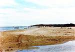 Views along Shell Bay  Studland United Nudists