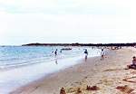 Views along Shell Bay  Studland United Nudists