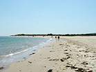 Views along Shell Bay  Studland United Nudists