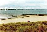 Towards Bournemouth from the high dune on The Point  Studland United Nudists