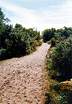 Views from FP6  Studland United Nudists