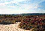 Views from FP6  Studland United Nudists