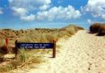 Views from FP6  Studland United Nudists