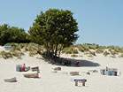 Barbecue area at Shell Bay  Studland United Nudists