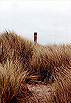 National Trust Red Post  Studland United Nudists