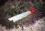 National Trust Red Post  Studland United Nudists