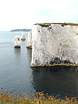 Parsons Barn and The Pinnacles viewed from Old Nick's Ground  Studland United Nudists