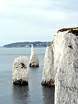 The Pinnacles viewed from Old Nick's Ground  Studland United Nudists