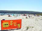 SUNday Sunday - Beach Action Day  Studland United Nudists