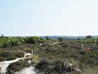 Dunes around the Lily Pond have been used by nudists for decades  Studland United Nudists