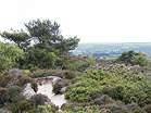 Dunes around the Lily Pond have been used by nudists for decades  Studland United Nudists