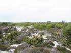 Dunes around the Lily Pond have been used by nudists for decades  Studland United Nudists