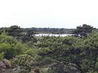 The Little Sea in the traditional nudist area at Studland  Studland United Nudists
